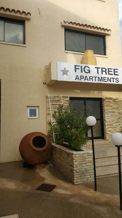 Fig Tree Apartments 普罗塔拉斯 外观 照片