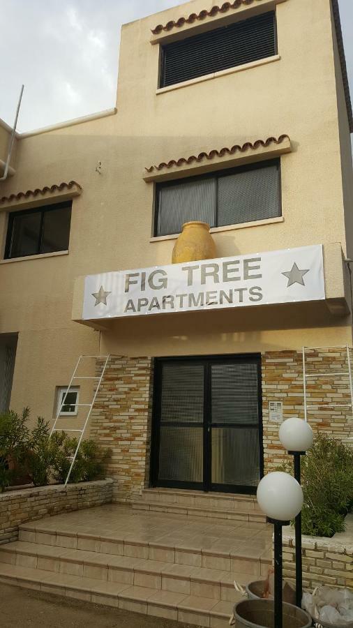 Fig Tree Apartments 普罗塔拉斯 外观 照片